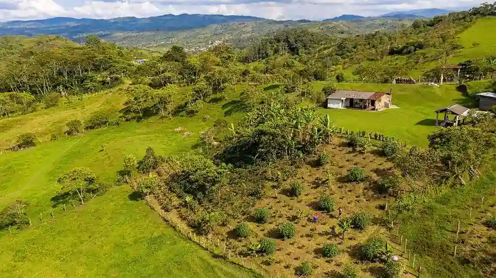 Foto de una zona rural de Ibagué