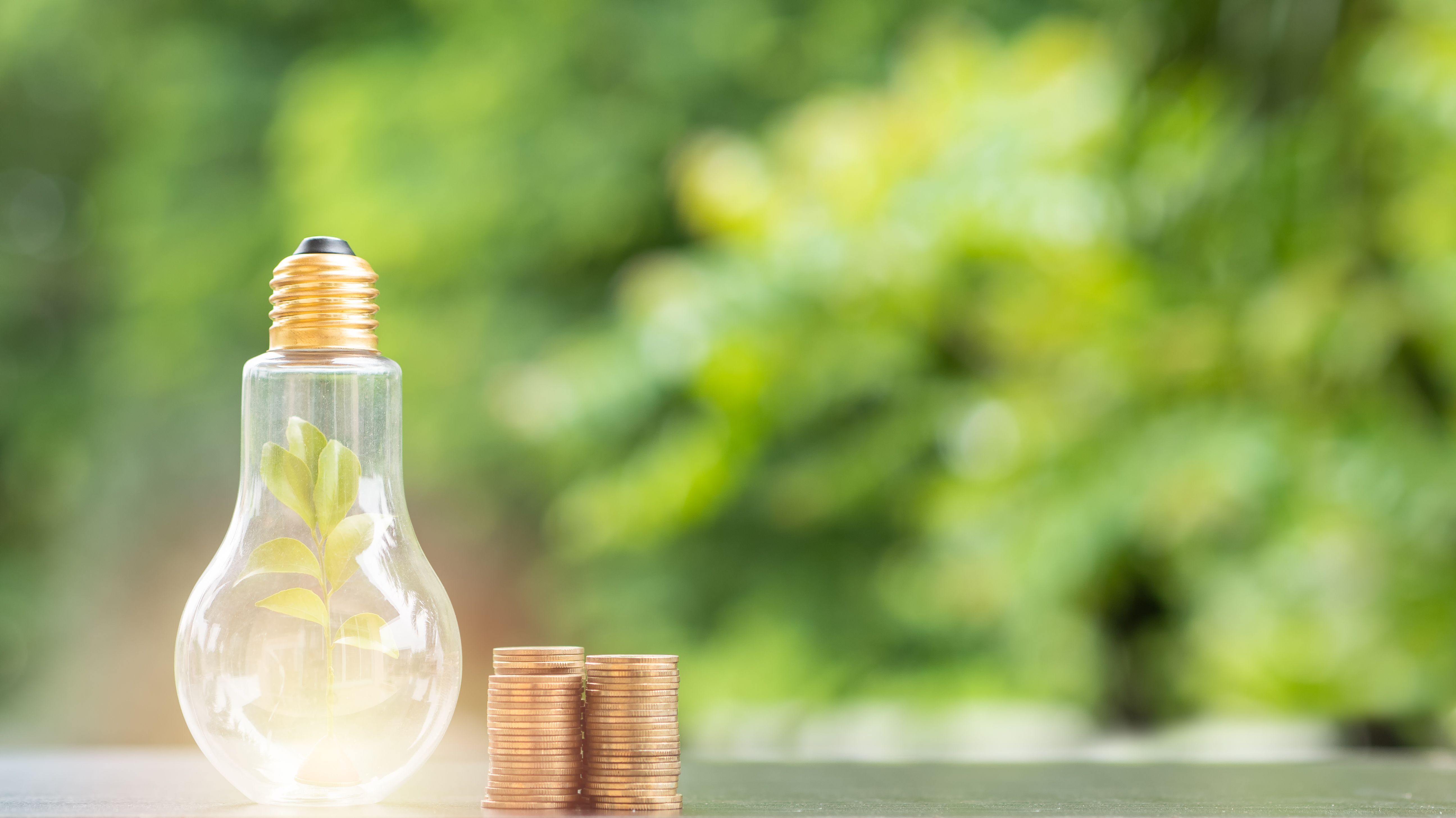 Disminuir el consumo de energía contribuye al planeta al igual que reduce costos de facturas.